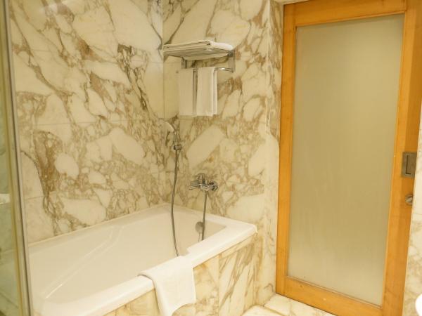 Radisson Blu Marina Hotel Connaught Place : photo 4 de la chambre suite familiale