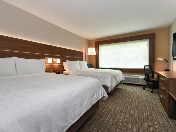 Holiday Inn Express & Suites Charlotte - Ballantyne, an IHG Hotel : photo 1 de la chambre chambre standard avec 2 lits queen-size