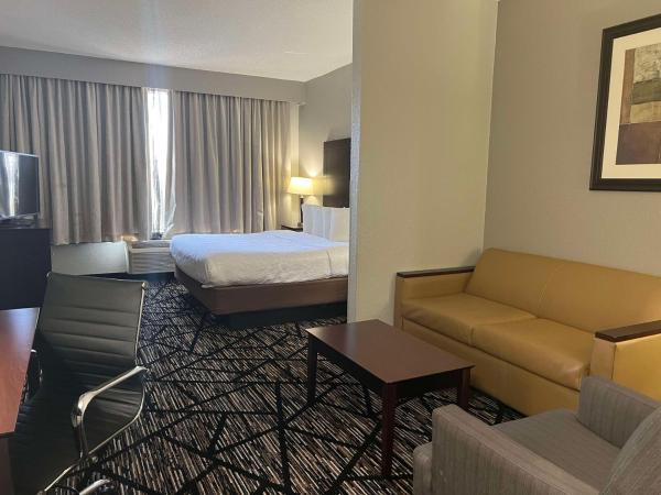 Best Western PLUS Hobby Airport Inn and Suites : photo 1 de la chambre chambre lit king-size - adaptée aux personnes malentendantes/non-fumeurs 
