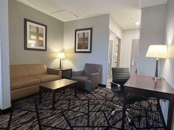 Best Western PLUS Hobby Airport Inn and Suites : photo 4 de la chambre chambre lit king-size - adaptée aux personnes malentendantes/non-fumeurs 
