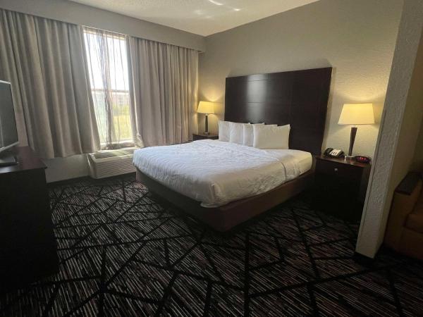 Best Western PLUS Hobby Airport Inn and Suites : photo 5 de la chambre chambre lit king-size - adaptée aux personnes malentendantes/non-fumeurs 