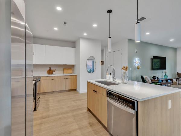 Nashville Vibes @Hyve 201 : photo 7 de la chambre appartement 2 chambres