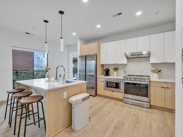 Nashville Vibes @Hyve 201 : photo 10 de la chambre appartement 2 chambres