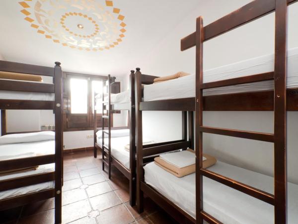 Oasis Backpackers' Hostel Granada : photo 8 de la chambre lit dans dortoir mixte de 8 lits 