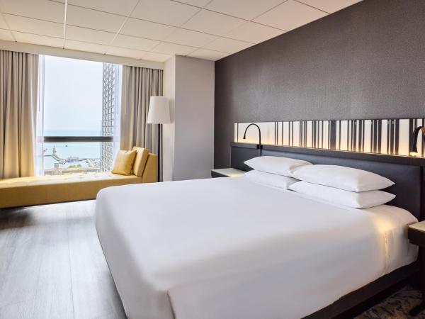 Hyatt Regency Chicago : photo 8 de la chambre chambre lit king-size - vue sur lac