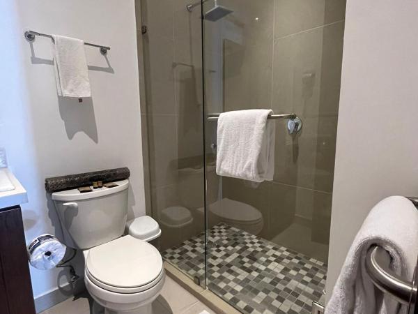 Loft Hotel Malecón Vallarta : photo 4 de la chambre suite 2 chambres