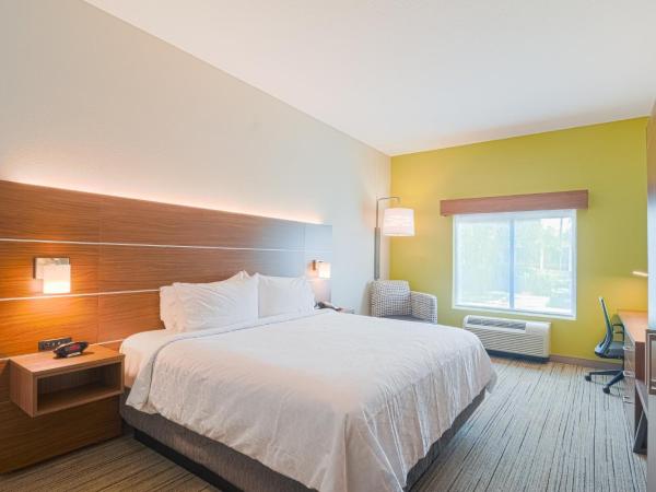 Holiday Inn Express Hotel & Suites Tampa-USF-Busch Gardens, an IHG Hotel : photo 4 de la chambre chambre standard