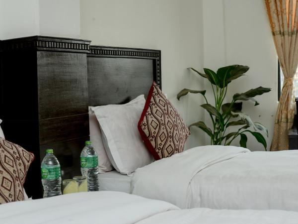 Hotel Admire Pokhara Pvt. Ltd. : photo 2 de la chambre chambre deluxe double ou lits jumeaux