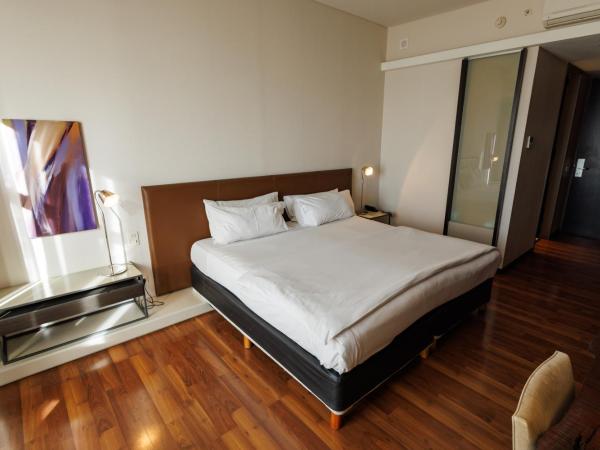 Esplendor by Wyndham Mendoza : photo 3 de la chambre chambre lit king-size - non-fumeurs