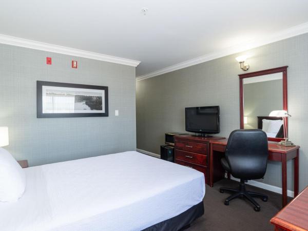 Sandman Hotel Red Deer : photo 2 de la chambre chambre standard - 1 lit queen-size 