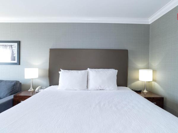 Sandman Hotel Red Deer : photo 3 de la chambre chambre 1 lit king-size standard avec canapé-lit