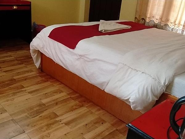 Hotel Plaza Nepal : photo 1 de la chambre chambre double standard
