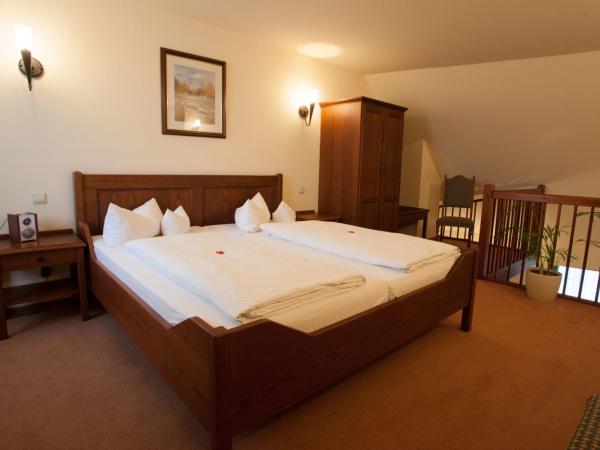 Hotel & Restaurant Klosterhof : photo 1 de la chambre suite maisonnette