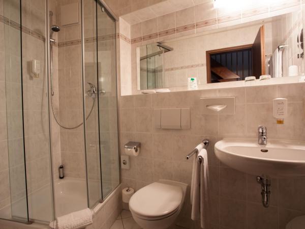 Hotel & Restaurant Klosterhof : photo 4 de la chambre suite maisonnette