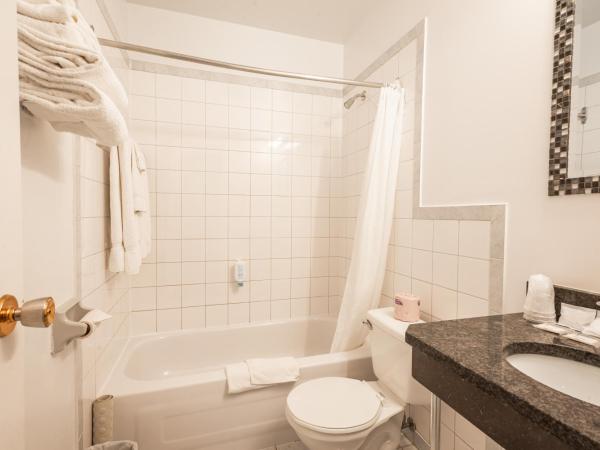 Hotel le Roberval : photo 5 de la chambre suite 1 chambre avec canapé-lit