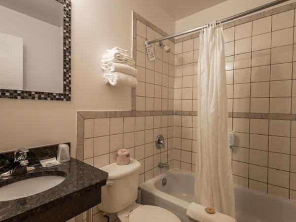 Hotel le Roberval : photo 2 de la chambre suite 1 chambre avec lit escamotable