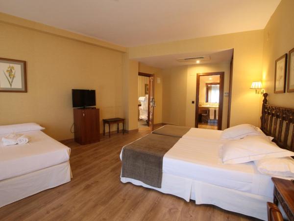 Hotel Ele Puente Romano de Salamanca : photo 6 de la chambre chambre triple