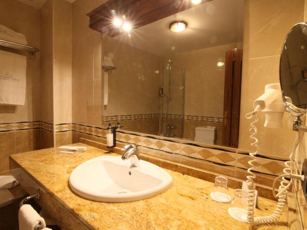 Hotel Ele Puente Romano de Salamanca : photo 10 de la chambre chambre double ou lits jumeaux