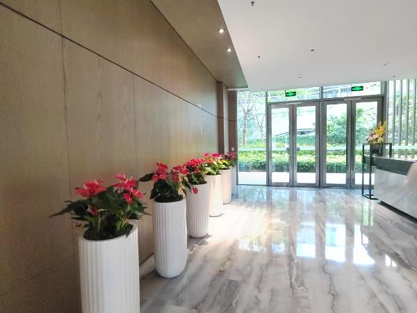 Fuan Hotel - Shenzhen International Convention and Exhibition Center Branch : photo 4 de la chambre chambre affaires lit queen-size