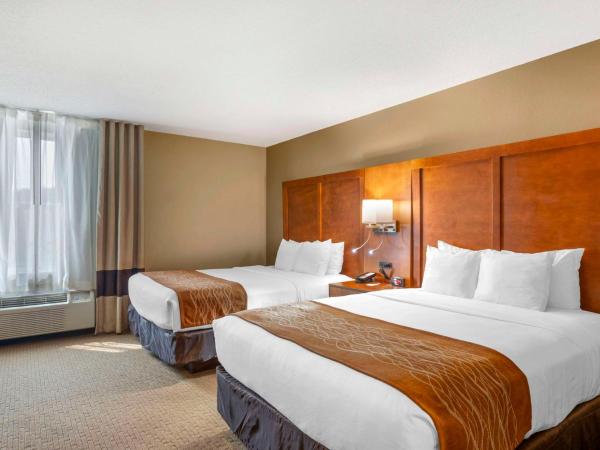 Comfort Inn North-Polaris : photo 2 de la chambre chambre standard avec 2 lits queen-size - non-fumeurs