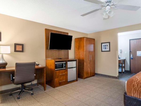 Comfort Inn North-Polaris : photo 4 de la chambre chambre lit king-size standard - non-fumeurs 