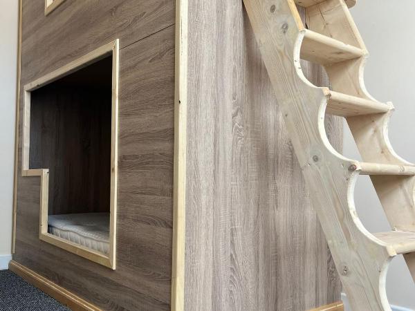 Waterford Hostels Ltd : photo 1 de la chambre lit superposé dans dortoir mixte