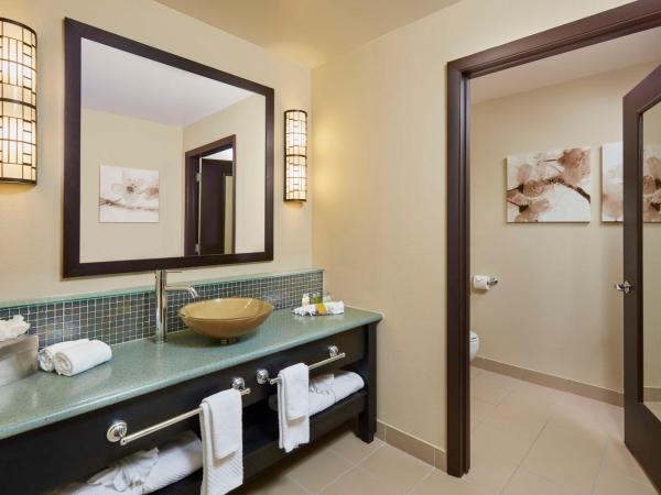 DoubleTree by Hilton Hotel Orlando at SeaWorld : photo 7 de la chambre suite 1 chambre lit king-size avec canapé-lit et cuisine complète