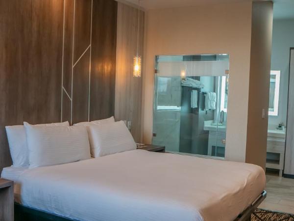 SureStay Hotel by Best Western Houston Southeast : photo 5 de la chambre chambre lit king-size - non-fumeurs