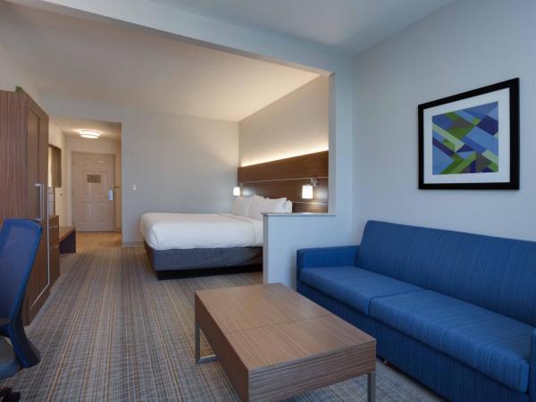 Holiday Inn Express & Suites Orlando International Airport, an IHG Hotel : photo 3 de la chambre chambre lit king-size avec baignoire - accessible aux personnes à mobilité réduite/non-fumeurs 