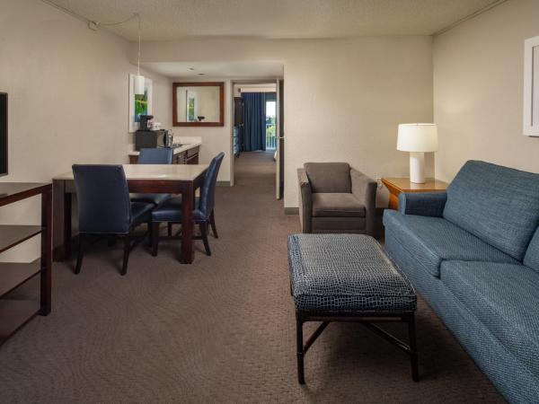 Sheraton Suites Fort Lauderdale at Cypress Creek : photo 3 de la chambre suite lit king-size et canapé-lit
