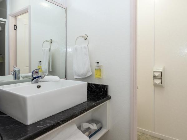 Palm Court Motor Inn : photo 5 de la chambre studio lits jumeaux avec bains à remous