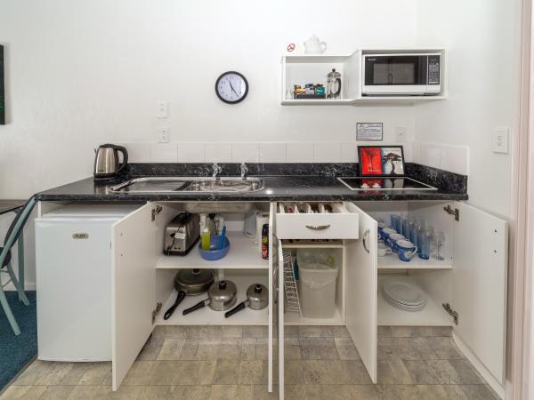 Palm Court Motor Inn : photo 4 de la chambre studio lits jumeaux avec bains à remous