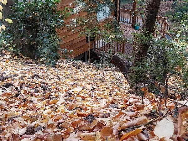 Cabaña Llavu Lemu : photo 6 de la chambre chalet