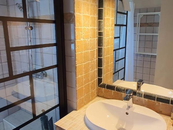 Mas de la Tour Carbonnière : photo 6 de la chambre appartement avec douche