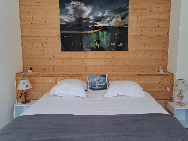 Hôtel Les Mouflons : photo 2 de la chambre appartement