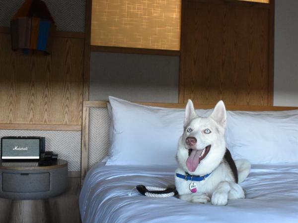 Aloft Tulum : photo 1 de la chambre chambre lit king-size - vue sur jungle