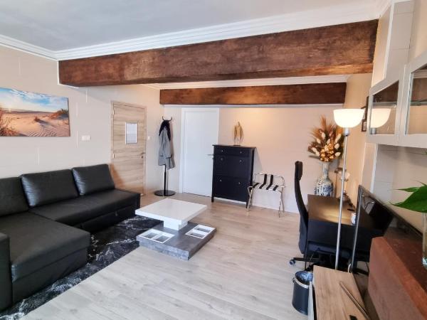 Hotel Cardiff : photo 4 de la chambre appartement avec terrasse