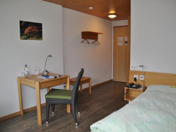 Ferien- und Familienhotel Alpina Adelboden : photo 2 de la chambre chambre simple