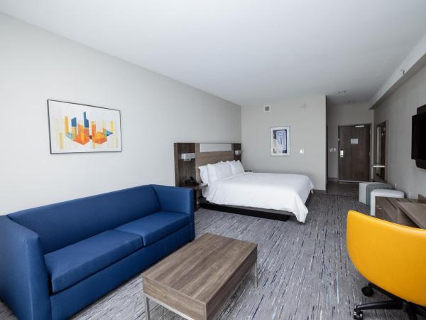 Holiday Inn Express & Suites Tampa Stadium - Airport Area, an IHG Hotel : photo 1 de la chambre suite lit king-size