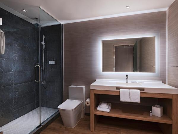 AC Hotel by Marriott Houston Downtown : photo 5 de la chambre chambre lit king-size