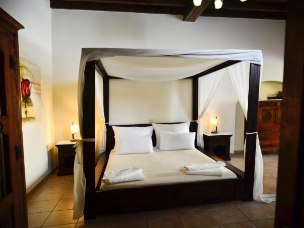 Petrino : photo 2 de la chambre studio avec vue sur le jardin

