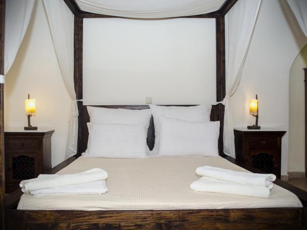 Petrino : photo 10 de la chambre studio avec vue sur le jardin

