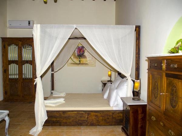 Petrino : photo 7 de la chambre studio avec vue sur le jardin

