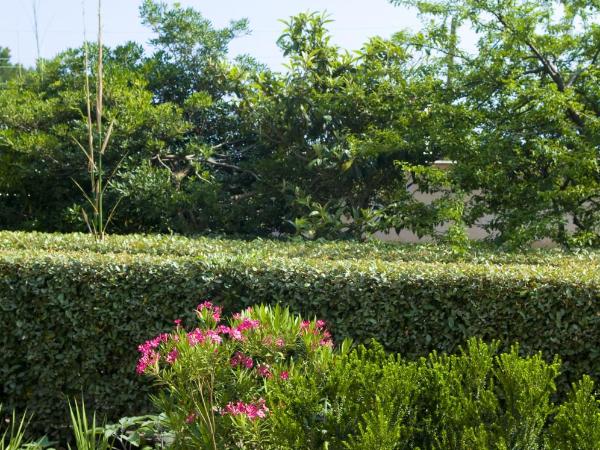 Hotel Villa Sarah : photo 1 de la chambre chambre double supérieure avec balcon et vue sur le jardin