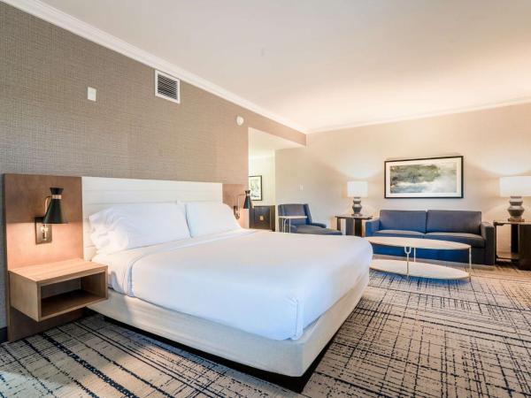 DoubleTree by Hilton South Charlotte Tyvola : photo 3 de la chambre suite junior