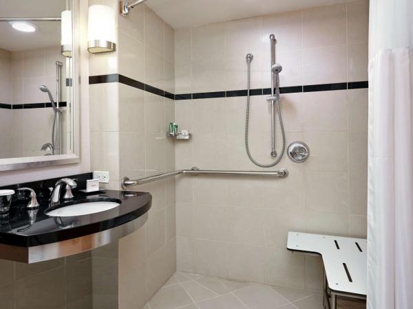 New York Hilton Midtown : photo 3 de la chambre hébergement urbain 2 lits doubles avec douche accessible en fauteuil roulant