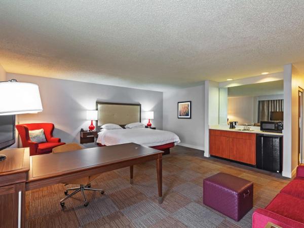 Hampton Inn Oklahoma City-Northwest : photo 3 de la chambre chambre lit king-size avec canapé-lit - non-fumeurs