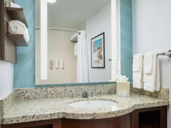 Hilton Garden Inn Atlanta Midtown : photo 5 de la chambre chambre avec 2 grands lits queen-size