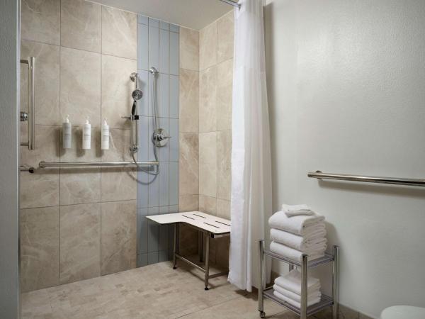 Hampton Inn & Suites Austin-Downtown/Convention Center : photo 3 de la chambre chambre lit king-size - personnes à mobilité réduite/douche accessible en fauteuil roulant