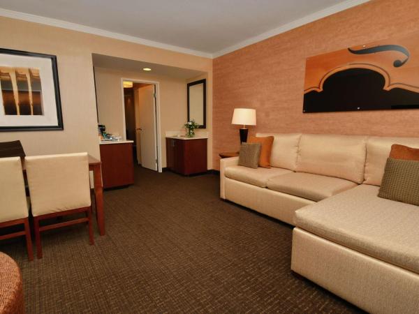 Embassy Suites by Hilton Austin Downtown South Congress : photo 4 de la chambre suite lit king-size avec vue sur la ville - non-fumeurs